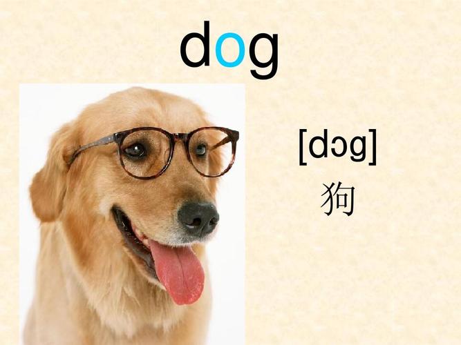 dog [d ɡ] 狗