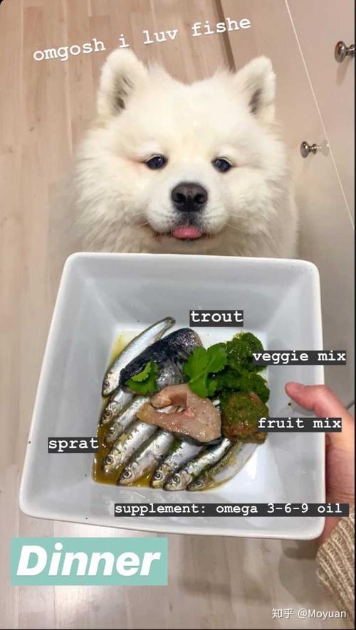 可以给狗狗吃鱼吗?