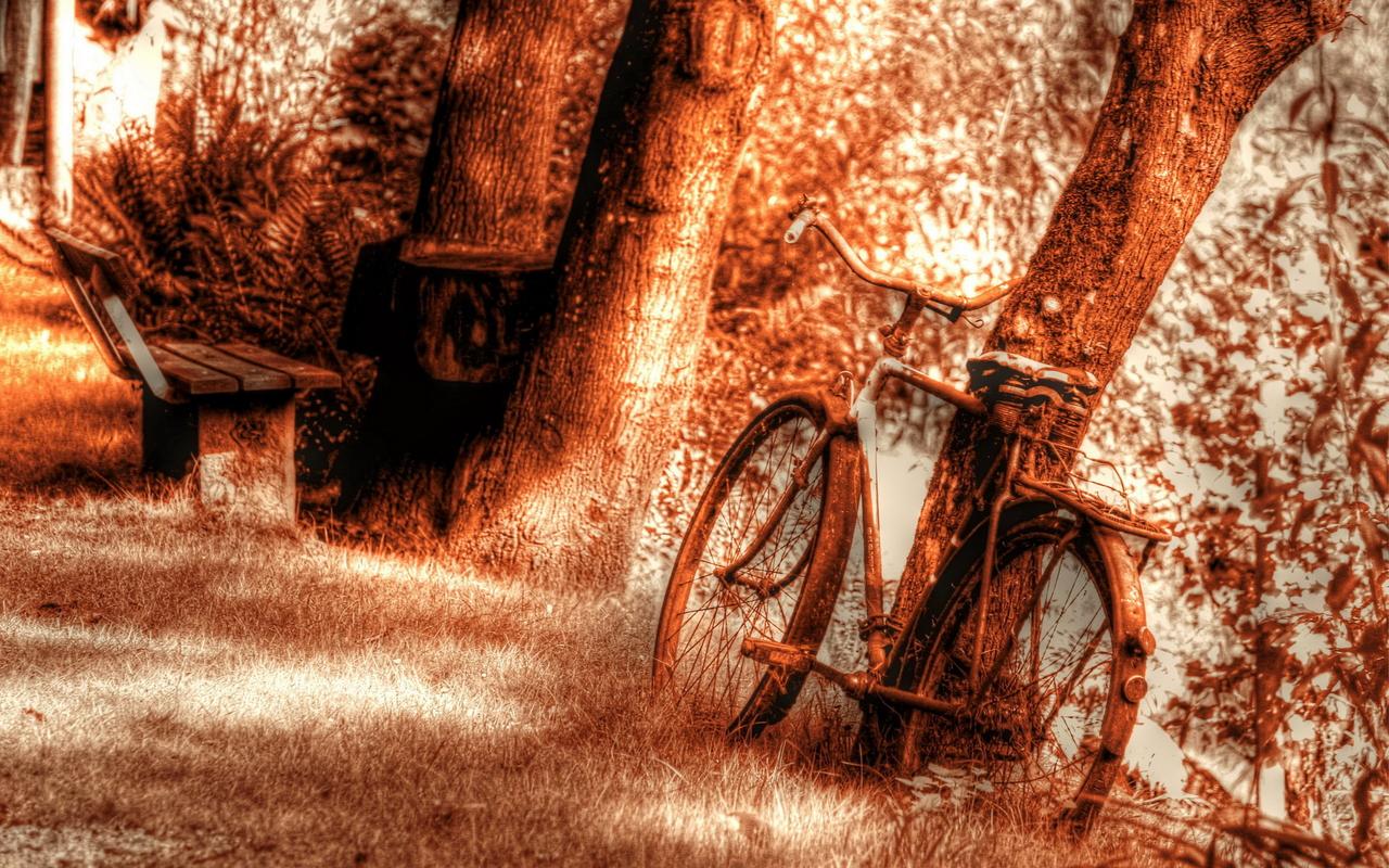 自行车怀旧复古风摄影高清壁纸
