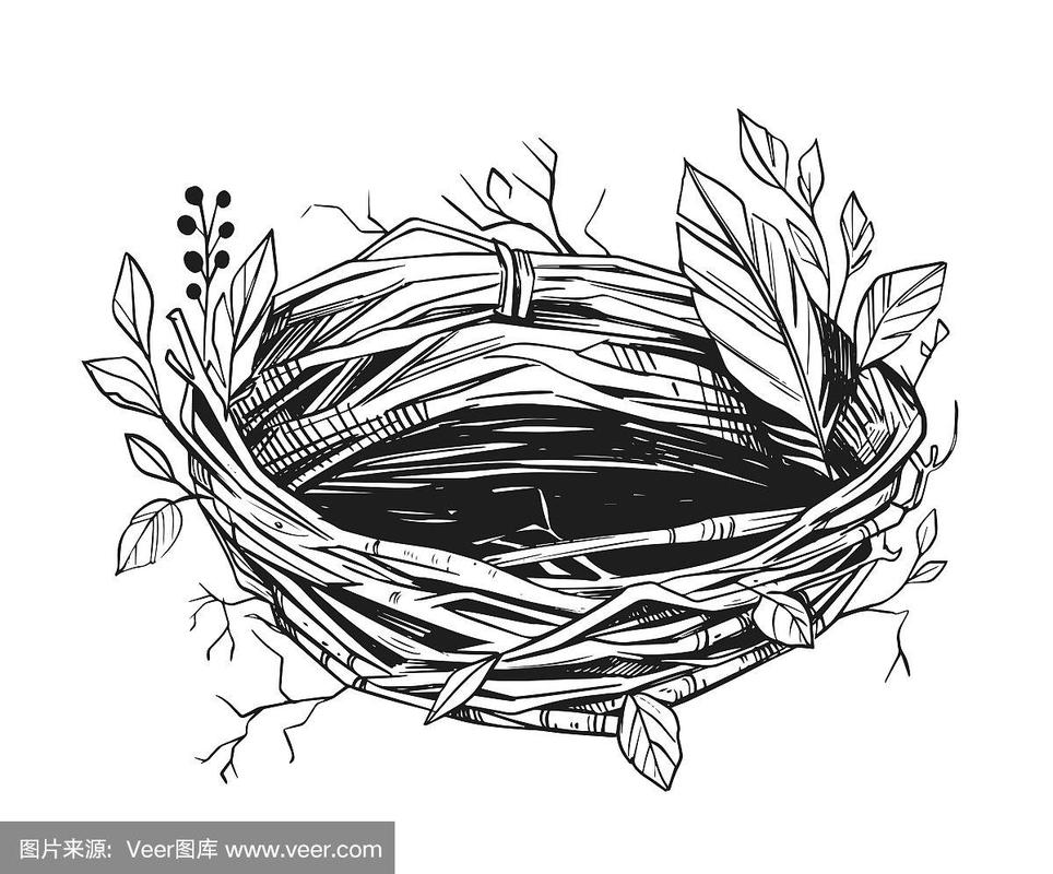 鸟巢的插图.手绘草图转换为矢量.黑色透明