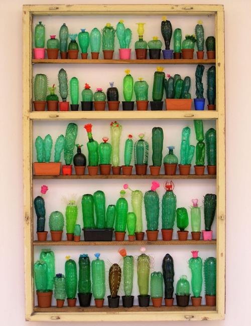 艺术家把空塑料瓶做成永远不需要浇水的仙人掌