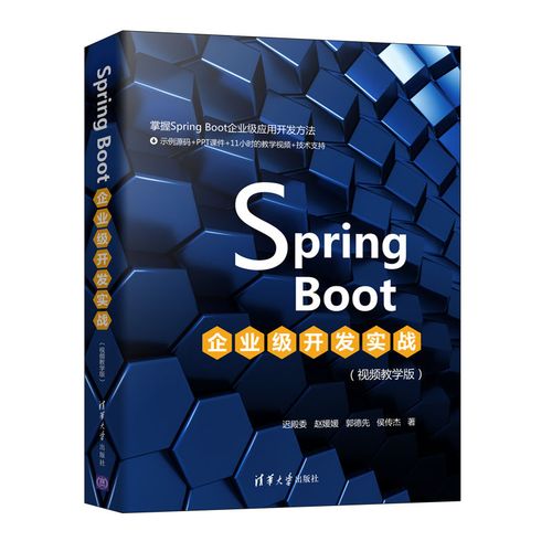 spring boot企业级开发实战 视频教学版 spring核心思想 spring mvc