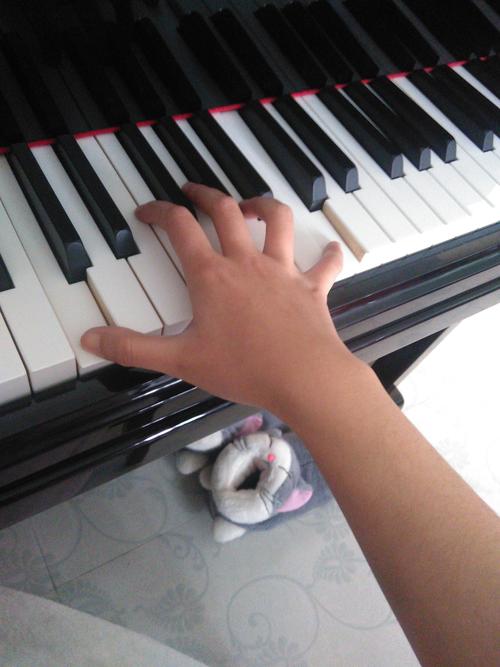 我这种手型弹钢琴八度音阶练习对吗?