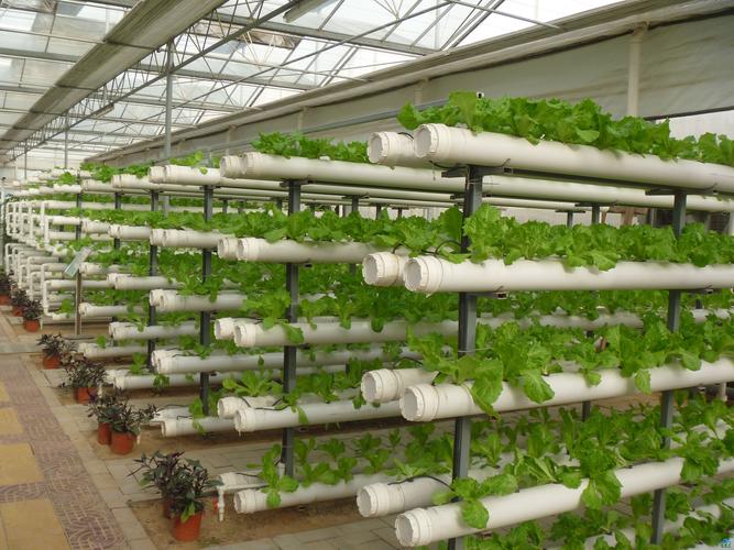 河南温室深解智能连栋温室蔬菜管道水培技术