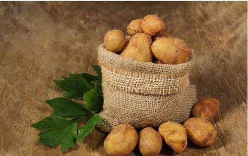 土豆发芽有毒 红薯发芽有毒吗?