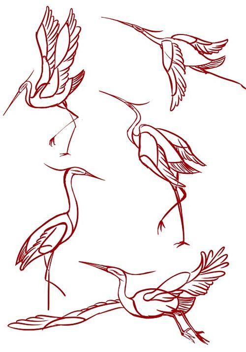 白鹭鸟图片简笔画