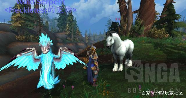魔兽世界9.0:新的联盟猎人也可驯服的马造型宠物