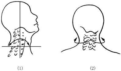 颈椎的旋转活动主要由以下哪个关节完成