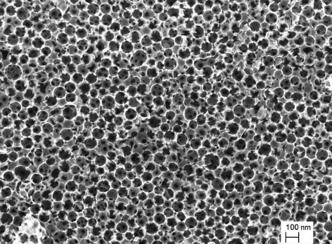 首页 产品展示 碳纳米管/富勒烯系列 纳米多孔碳(二)结构        ncs