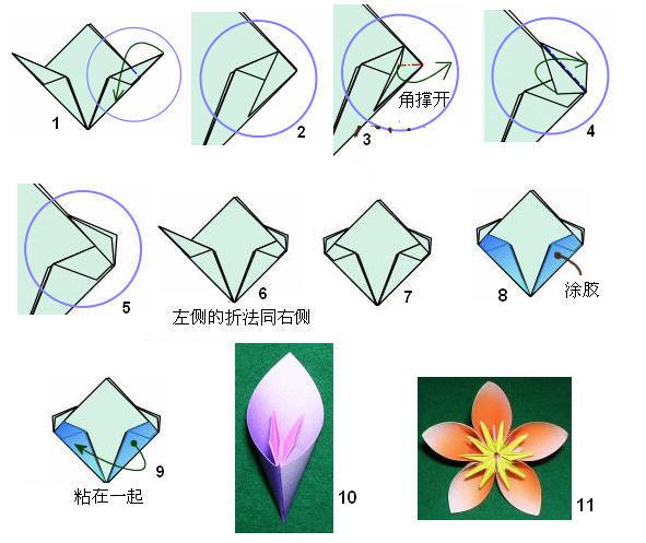 折花的方法与图解 五瓣花球折法的变化