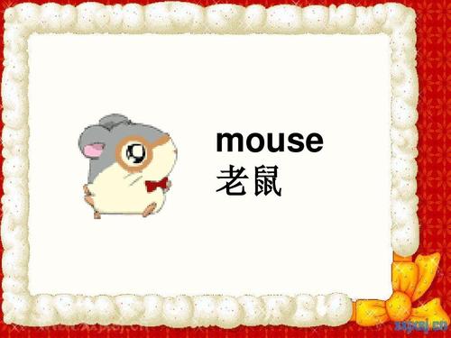 mouse 老鼠