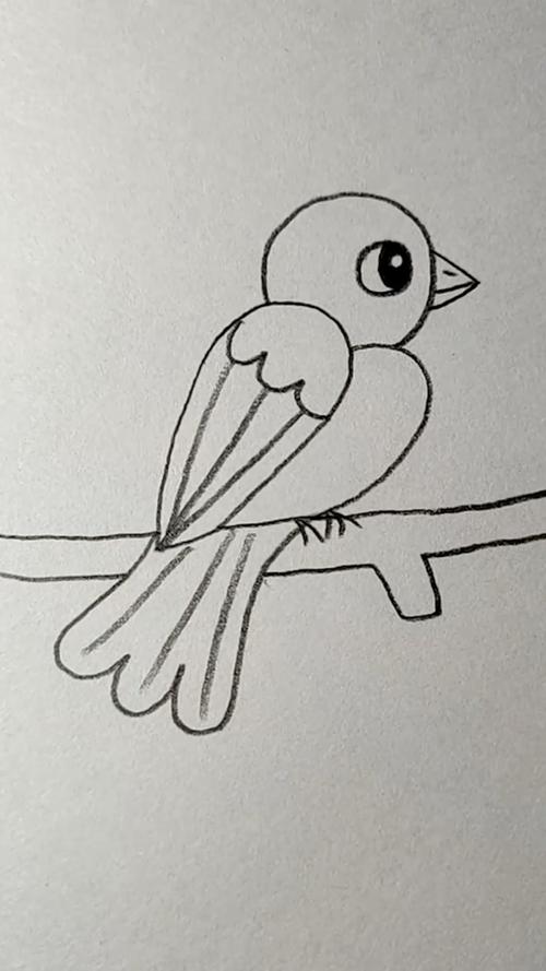 教你们画一只站在树枝上的小鸟.