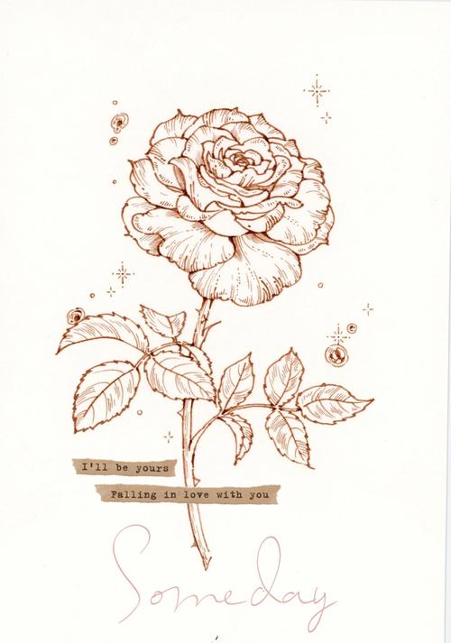 玫瑰手绘教程花卉线稿手绘day24