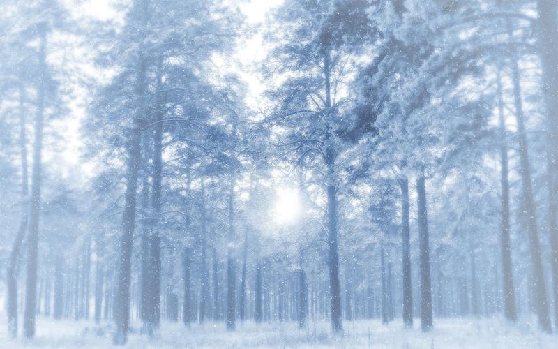 冬天雪景,树木,唯美,意境,天气(雪)冬天雪景壁纸图片