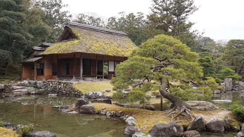 日本最美20个庭院合集_庭园