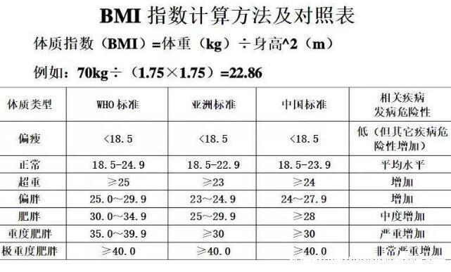 bmi指数大于多少属于肥胖