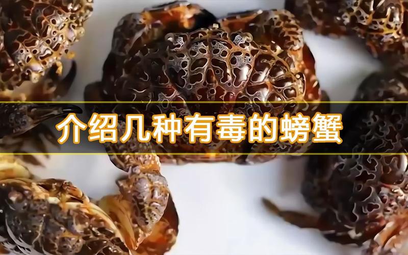 介绍几种有毒的螃蟹,大家看到了一定不要食用