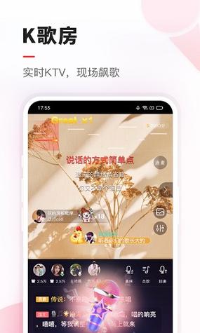 vv音乐app下载-vv音乐手机版下载 - 系统家园