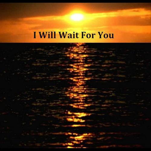 i will wait for you