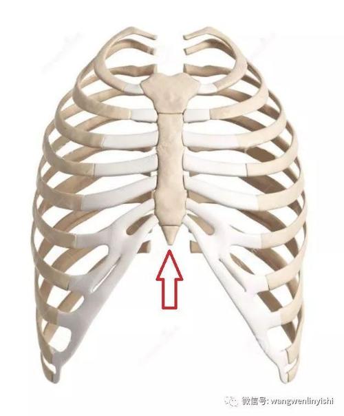 剑突是人体一个非常特殊的结构,位于胸骨的最下端,两肋弓中间.
