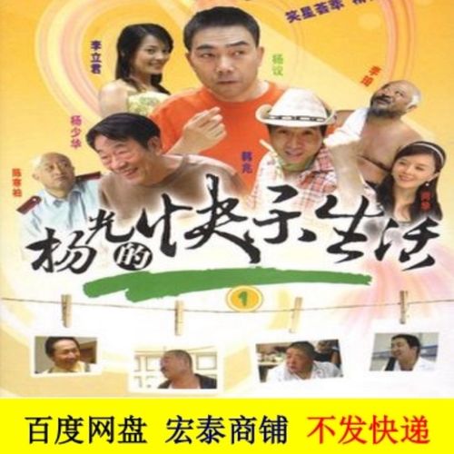 杨光的快乐生活 电视剧全集1-8部国语高清画质休闲娱乐素材