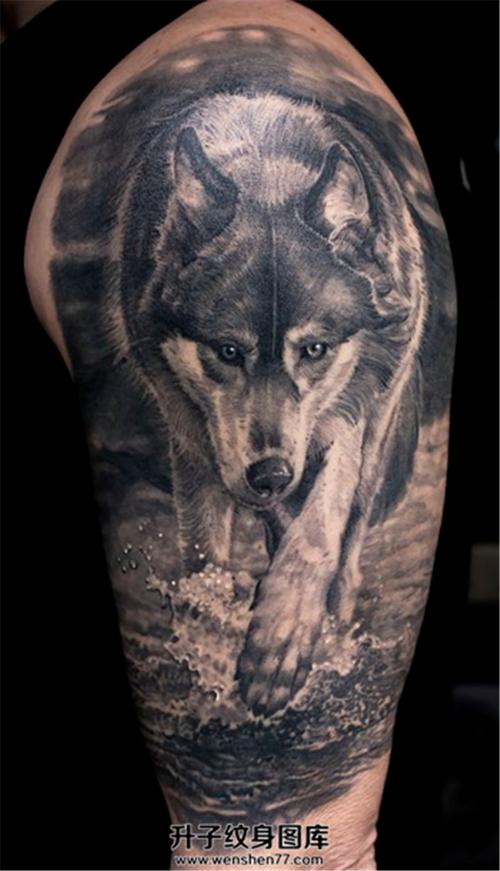男性大臂欧美写实狼纹身