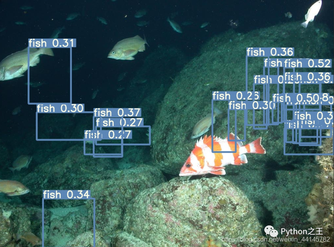 yolov5超详细的入门级教程训练篇一训练自制数据集识别鱼类