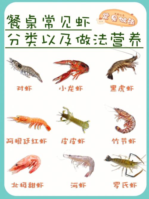 饭桌常见虾功能食用做法速速收藏