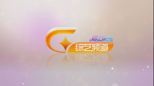 广西卫视呼号2005