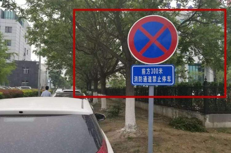 机动车违反禁止停车标志 昆明 电子拍照