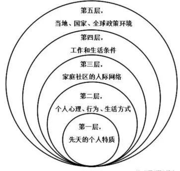 图1 健康生态学模型(美托洛尔)[参考文献][1]徐筱璐,徐翠荣,汤卫红,谈