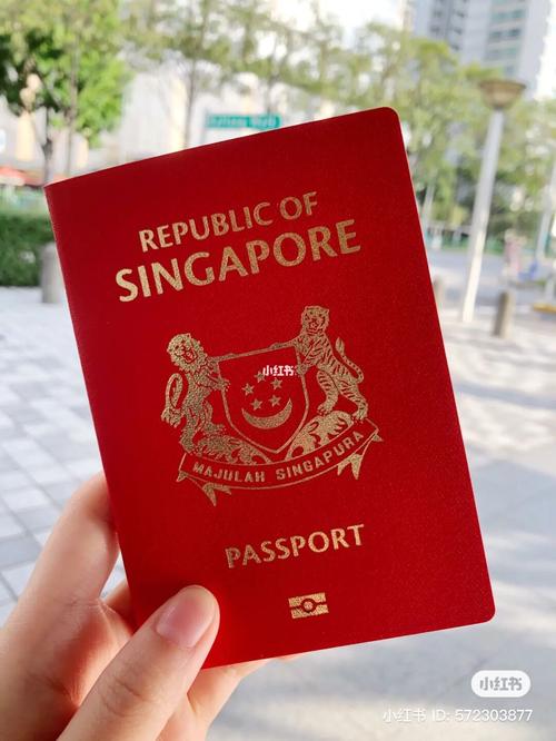 护照_ica怎么样_签证_后怎么样_工作_新加坡公民申请_资讯_资讯其他