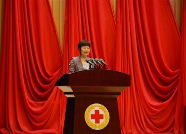 区红十字会党组书记,常务副会长游向荣作工作报告