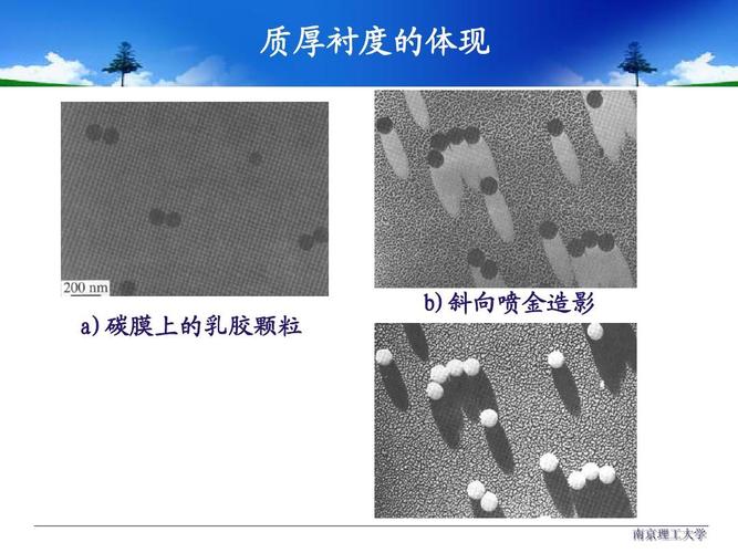 质厚衬度的体现 a)碳膜上的乳胶颗粒 b)斜向喷金造影 南京理工大学