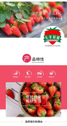 长丰红颜草莓新鲜有机水果 无公害生鲜现摘现发 3斤装