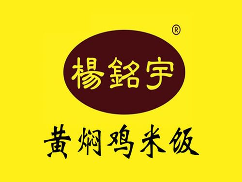 杨铭宇黄焖鸡米饭