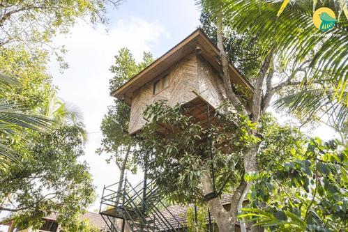 tree house for a restful stay in wayanad, by guesthouser 32854