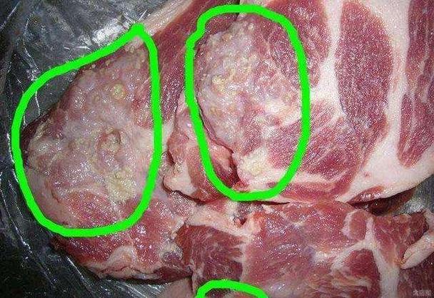 猪身上的淋巴肉在哪个部位(猪身上的6个部位)