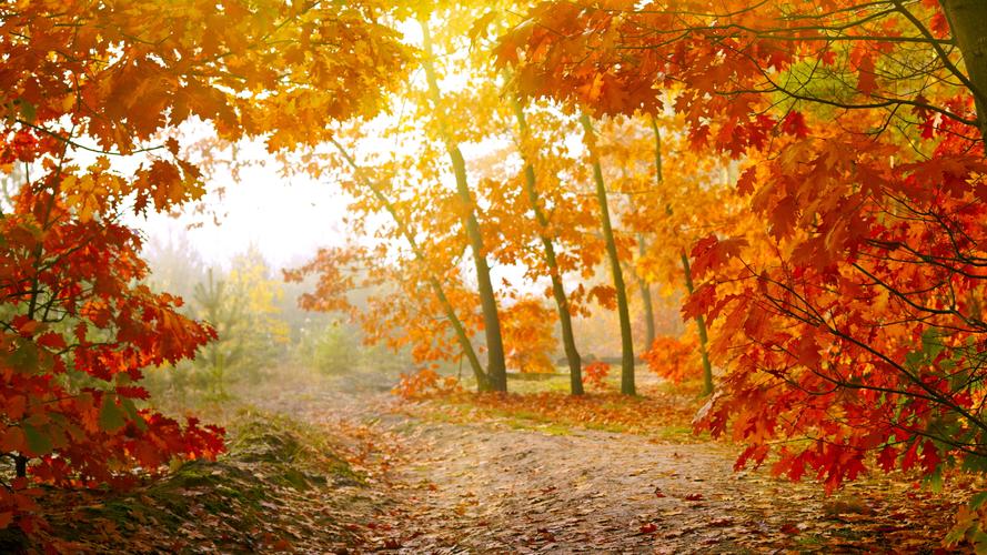 秋天唯美自然风景图片合集宽屏电脑桌面壁纸下载第一辑