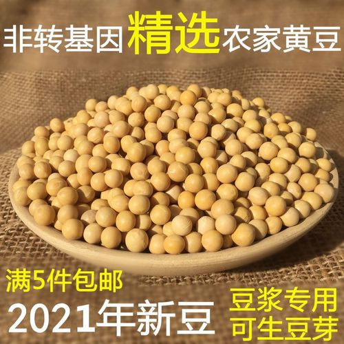 20年新豆非转基因黄豆老品种打豆浆农家自种有机大豆可生豆芽250g