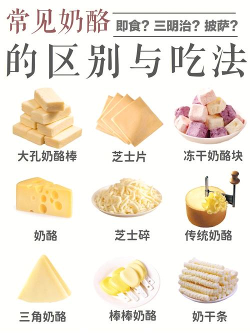 奶酪说明书常见奶酪区别与营养价值60做法