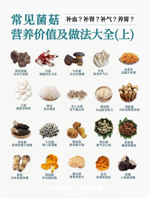 大全常见蘑菇的营养价值和吃法