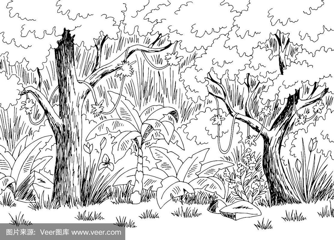 丛林雨林图形黑白景观素描插图矢量