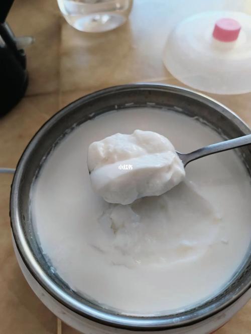 自己做的无糖酸奶
