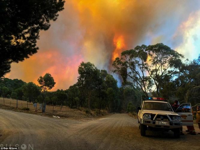 澳大利亚消防员拍摄山林火灾救援前线