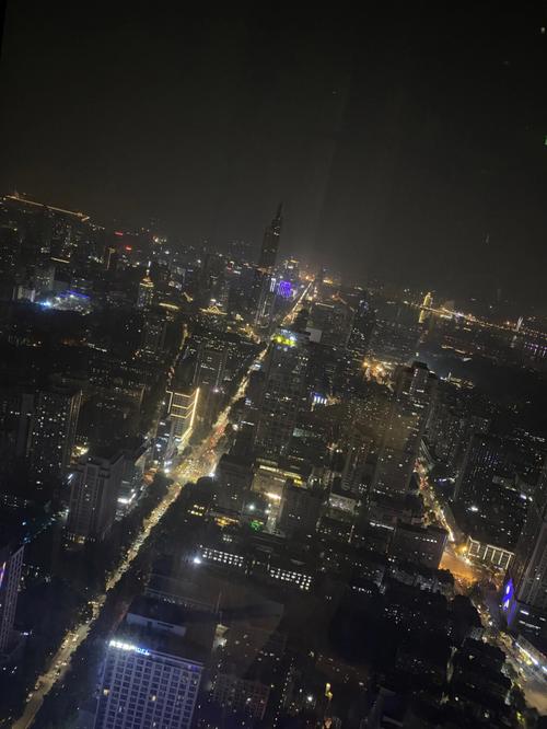 南京城的夜景