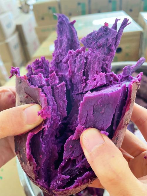 紫薯里边有很多丝还能吃吗