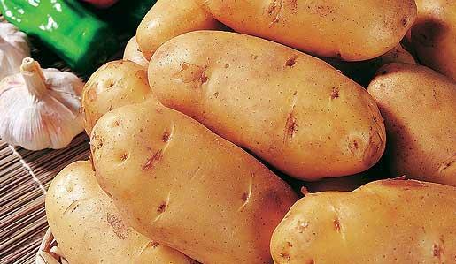 吃土豆会不会长胖土豆吃多了会长胖吗