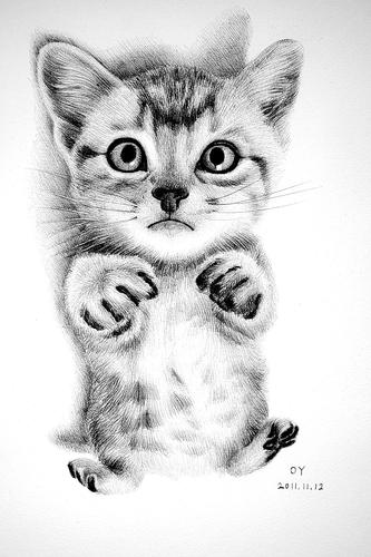 猫咪简单画法素描
