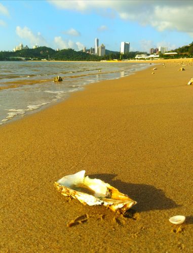 海滩贝壳 - 有福珠海